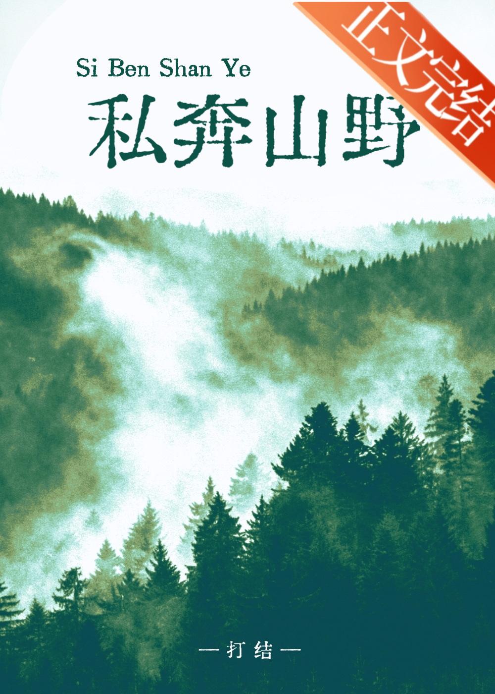私奔山野[公路文]封面