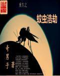妙医鸿途封面