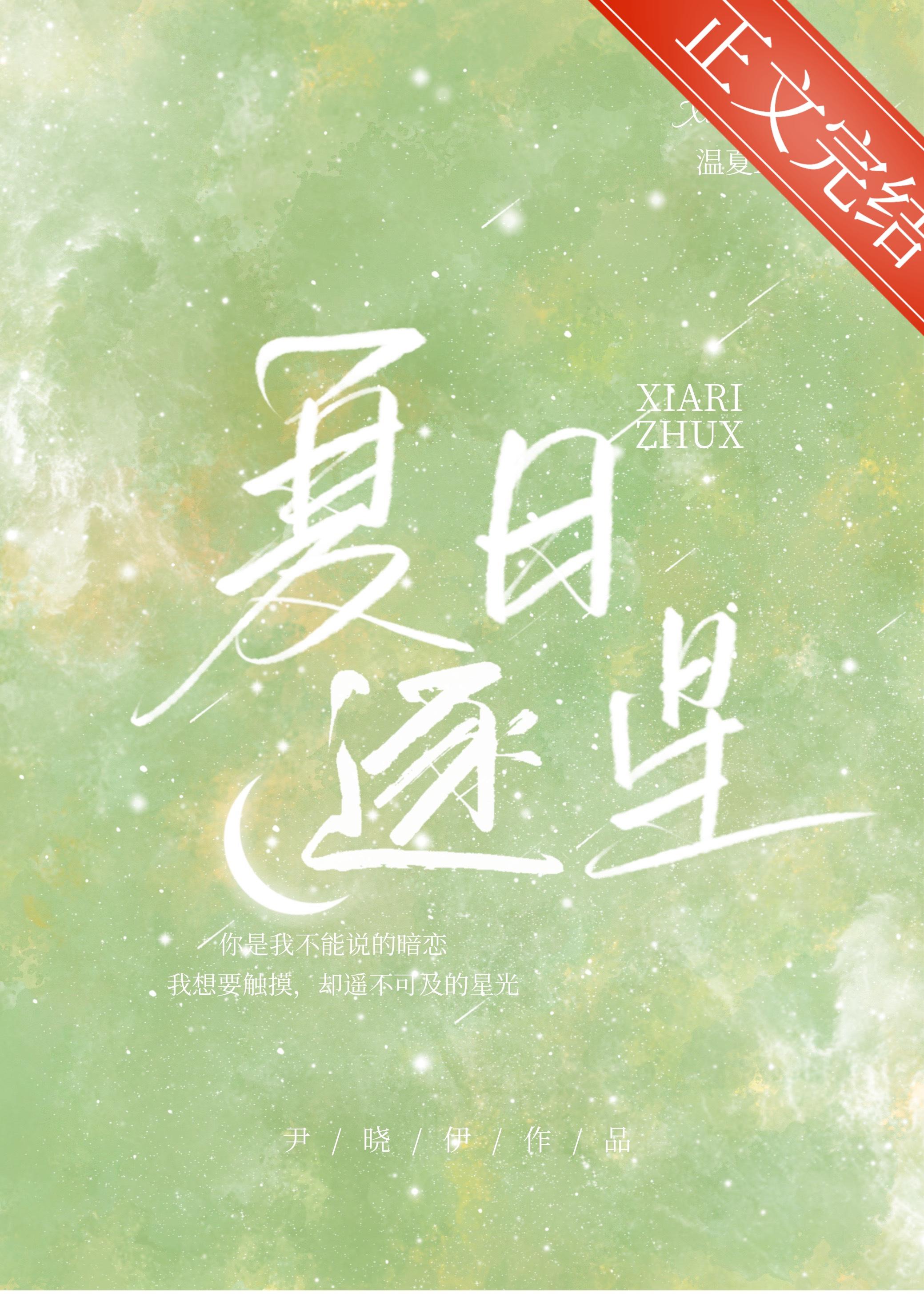 夏日逐星封面