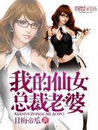 我的仙女总裁老婆封面