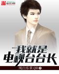 我就是电视台台长封面