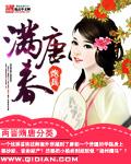 满唐春封面