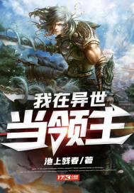我在异世当领主封面