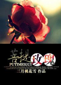 菩提玫瑰封面