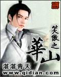 笑傲之华山封面