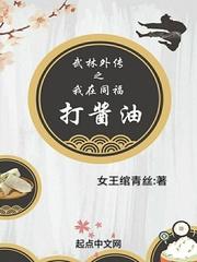 武林外传之我在同福打酱油封面