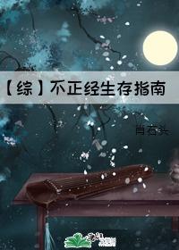 不正经生存指南封面