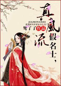 假名士，真风流封面