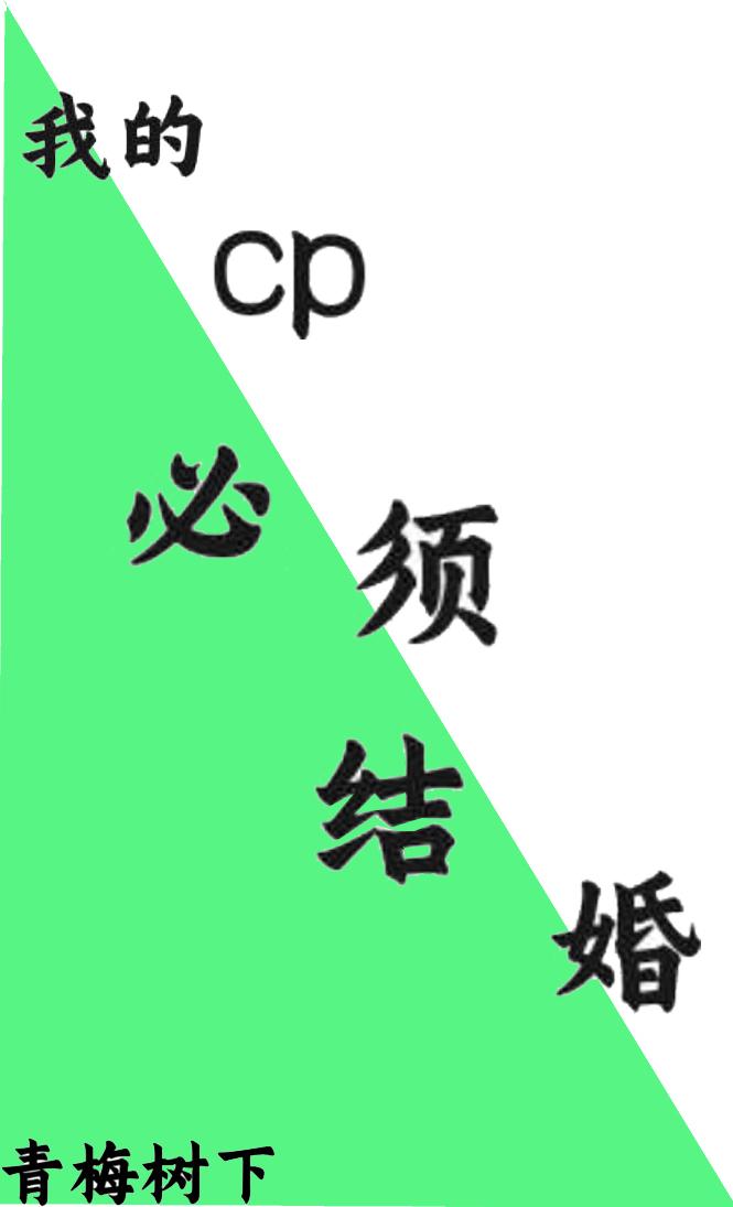 我的cp必须结婚封面