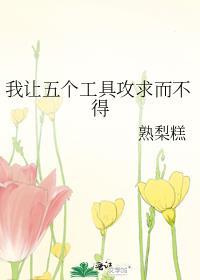 我让五个工具攻求而不得封面