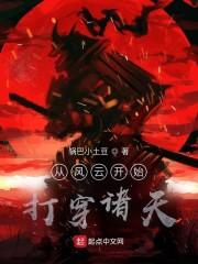 从风云开始打穿诸天封面