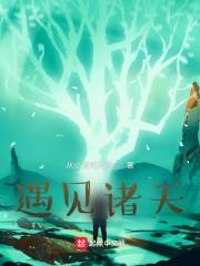 遇见诸天封面