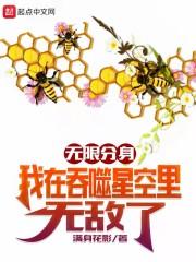 无限分身：我在吞噬星空里无敌了封面