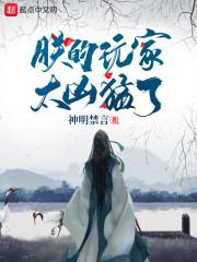 朕的玩家太凶猛了封面