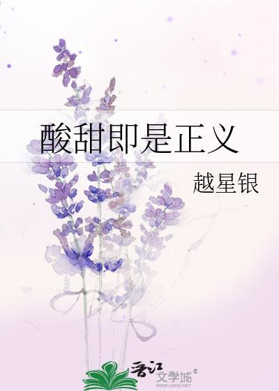 酸甜即是正义封面