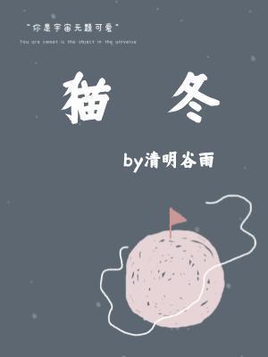 猫冬封面