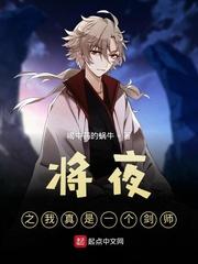 将夜之我真是一个剑师封面