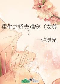 重生之娇夫难宠（女尊）封面