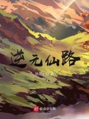 逆元仙路封面