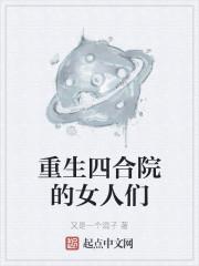 重生四合院的女人们封面