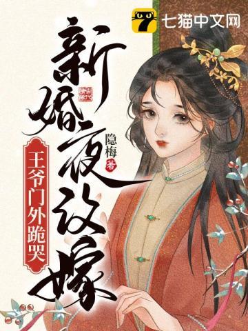 新婚夜改嫁王爷门外跪哭封面