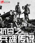 抗日之兵魂传说封面