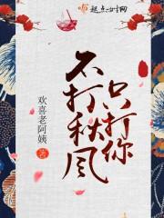 不打秋风只打你封面