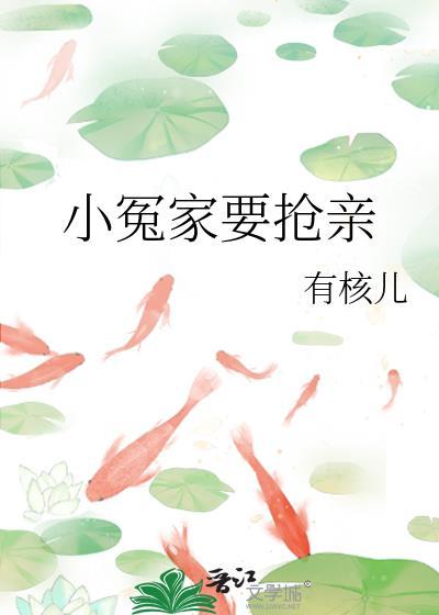 小冤家要抢亲封面