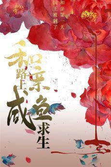 和亲路上咸鱼求生封面