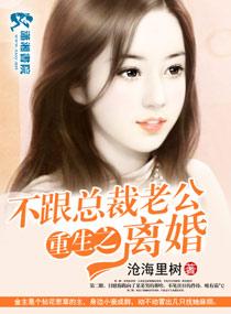 重生之不跟总裁老公离婚封面