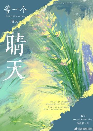 等一个晴天封面