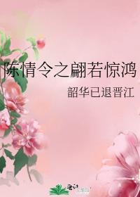 陈情令之翩若惊鸿封面