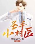 圣手小村医封面