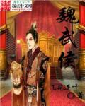 魏武侯封面