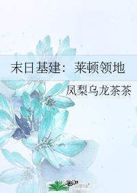 末日基建：莱顿领地封面