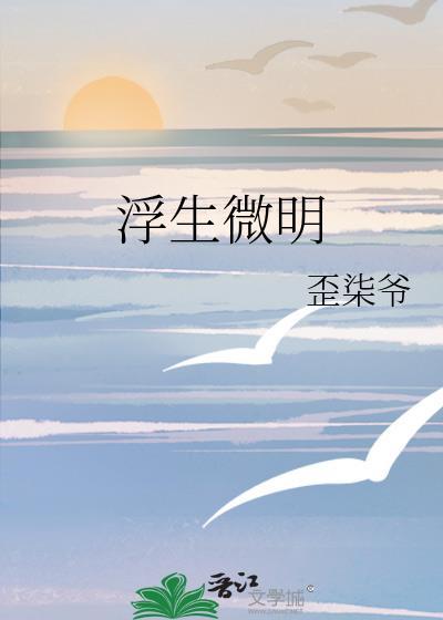 浮生微明封面