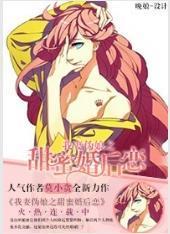 我妻伪娘之甜蜜婚后恋封面