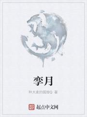 孪月封面