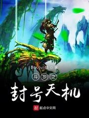 斗罗之封号天机封面