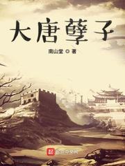 李宽穿越大唐封面