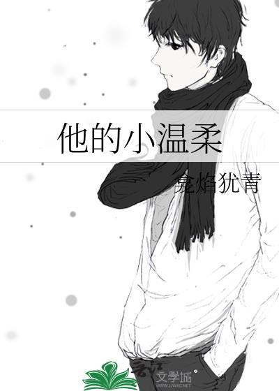 他的小温柔封面