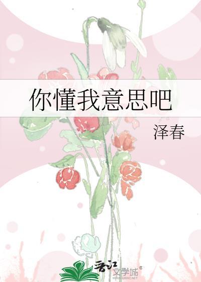 你懂我意思吧封面