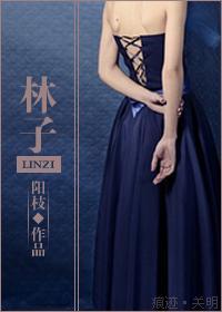 林子封面