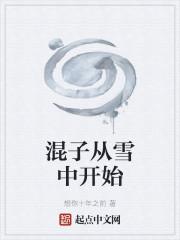 混子从雪中开始封面
