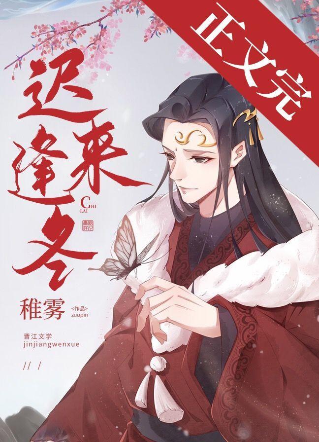 迟来逢冬封面