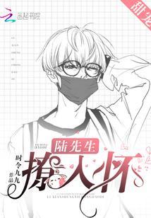 陆先生，撩入怀！封面