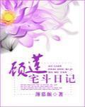 顾莲宅斗日记封面