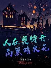 人在奥特开局黑暗火花封面