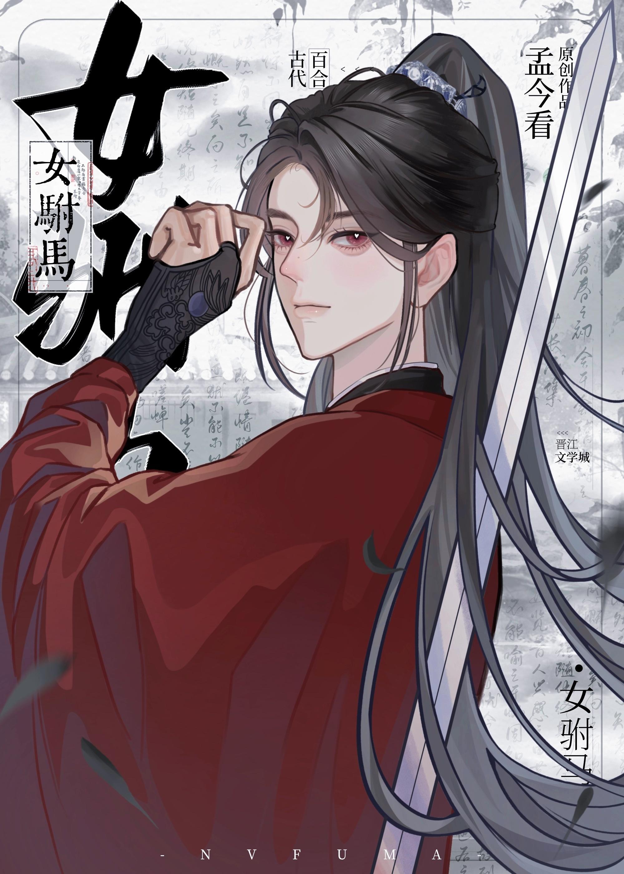 女驸马封面