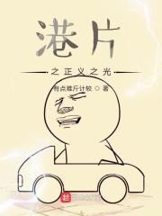 港综之破案封面